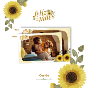Cartões
